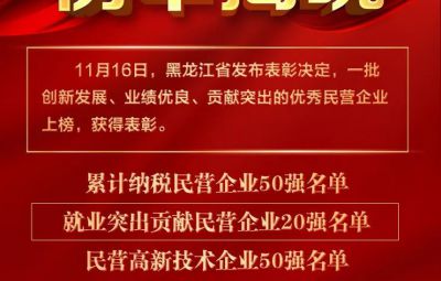 喜報|龍江表彰優秀民營企業 寶泰隆收獲兩項殊榮