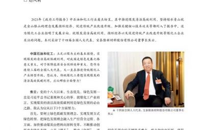 打破傳統走綠色轉型之路——訪十四屆全國人大代表、寶泰隆新材料股份有限公司董事長焦云